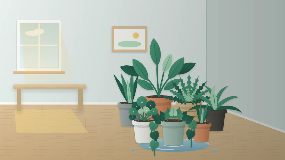 A dim room corner far from a small window with crowded mismatched pots on the floor, one standing in a puddle on the boards