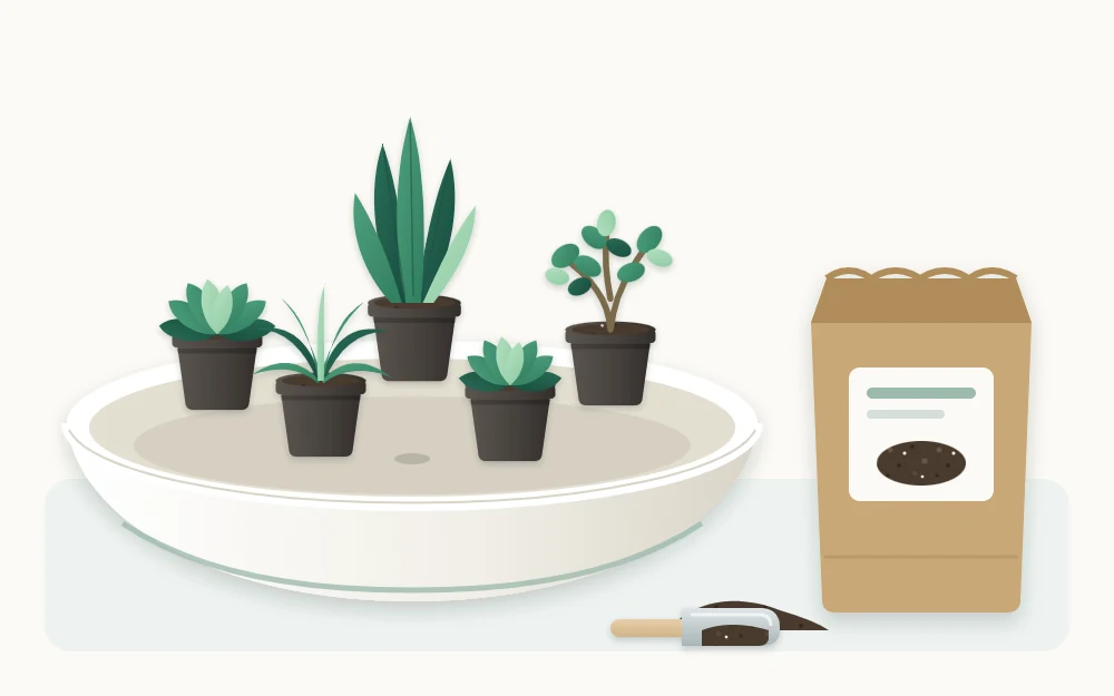 Empty shallow bowl with five small nursery pots set inside to test the layout, a bag of mix and a small scoop beside it