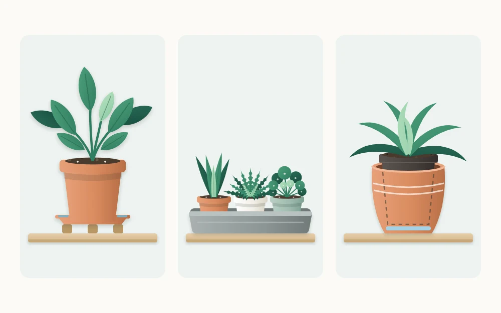 Three ways to catch water: a pot on a saucer with small feet, three pots sharing a deep tray, and a nursery pot inside a decorative outer pot