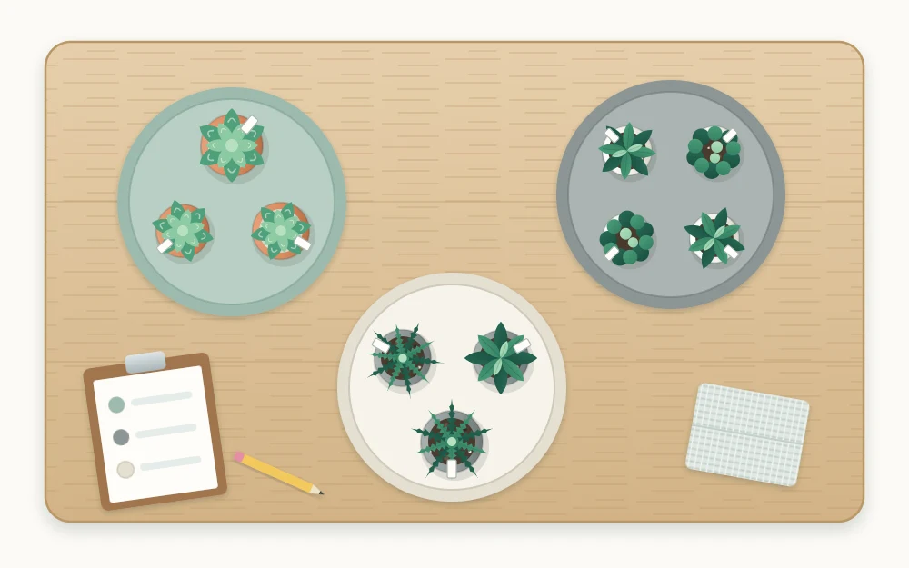 Top view of a table with pots sorted into three loose clusters, each on its own round tray with gaps between
