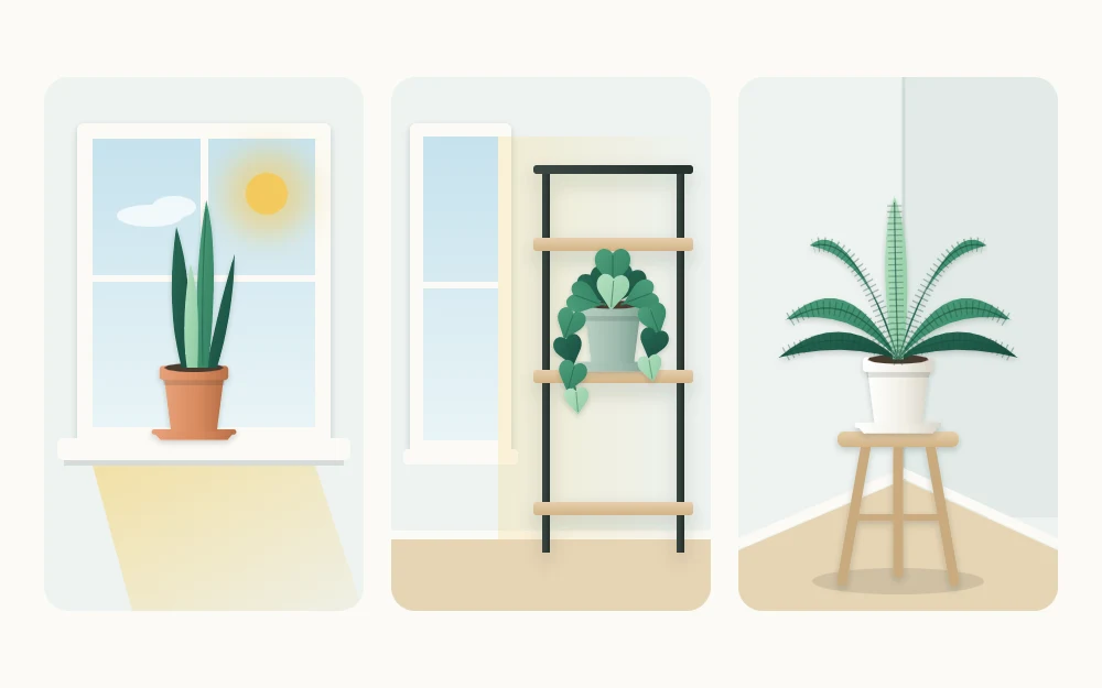 Three candidate spots shown as tiles: a sunny windowsill, a shelf unit beside a window and a plant stand in a room corner, each with one plant