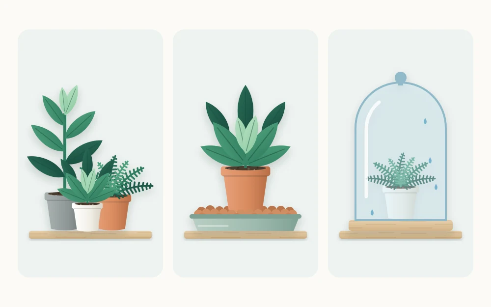 Three tiles comparing approaches: plants standing close together, a single plant on a tray of pebbles, and a small plant inside a clear glass case
