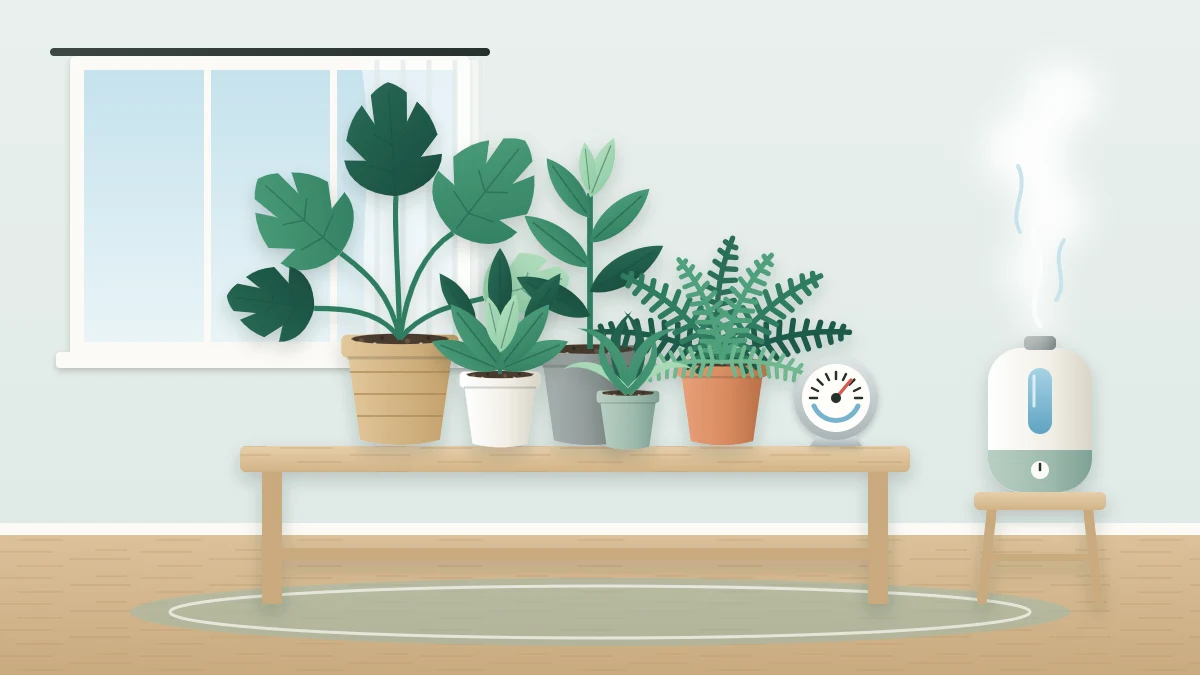 Five leafy tropical plants of different heights grouped on a low table beside a small round hygrometer and a room humidifier releasing a soft plume