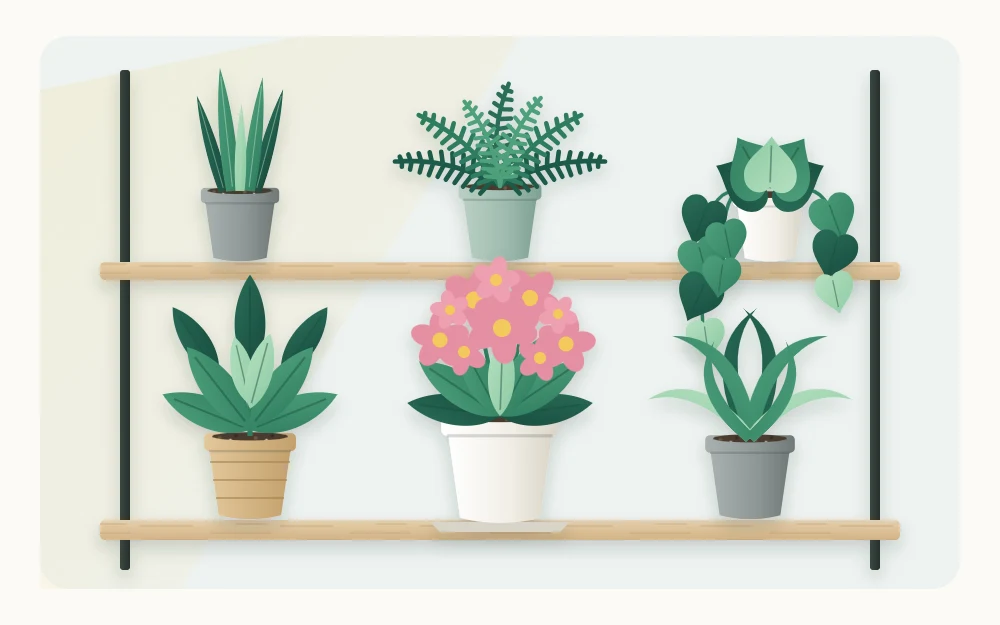 A plant shelf of green foliage plants with a single flowering plant with pink blooms placed at the front as the accent