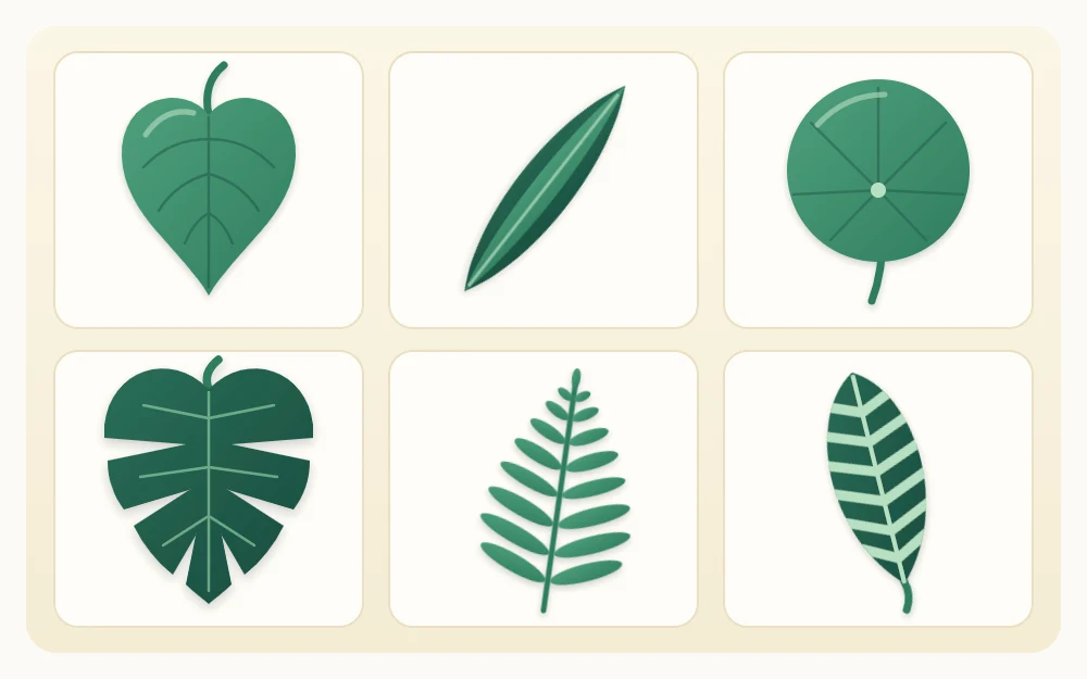 Six single leaves laid out in a grid, each a different shape: heart, long strap, round, deeply split, feathery frond and striped oval