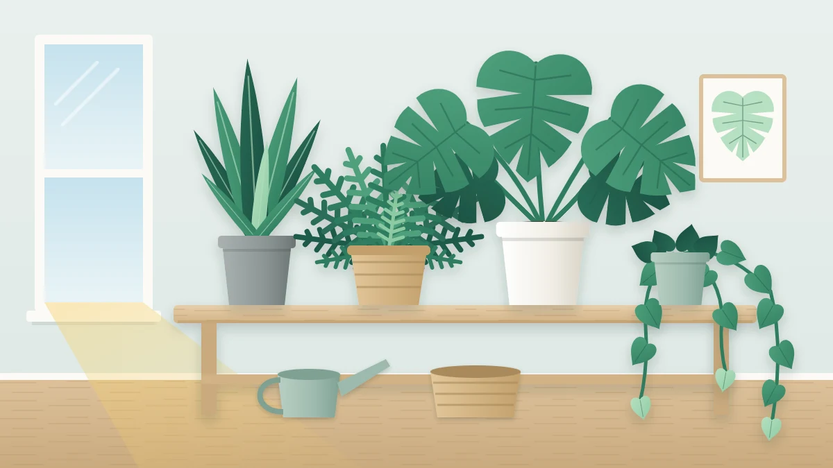 A group of foliage plants on a low bench: a tall sword-leaved plant, a bushy fern, a plant with large split leaves and a trailing vine