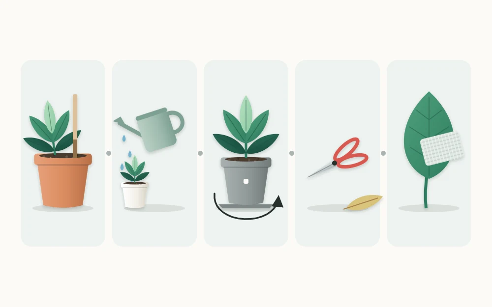Five tiles showing a stick in a pot, a watering can, a pot with a turn arrow, snips beside a fallen leaf and a cloth on a broad leaf