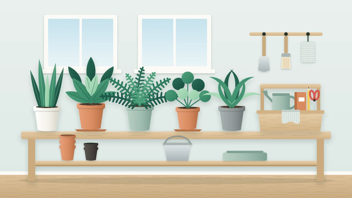 A tidy plant bench with a row of potted plants and a small caddy holding a watering can, snips, a cloth and a notebook