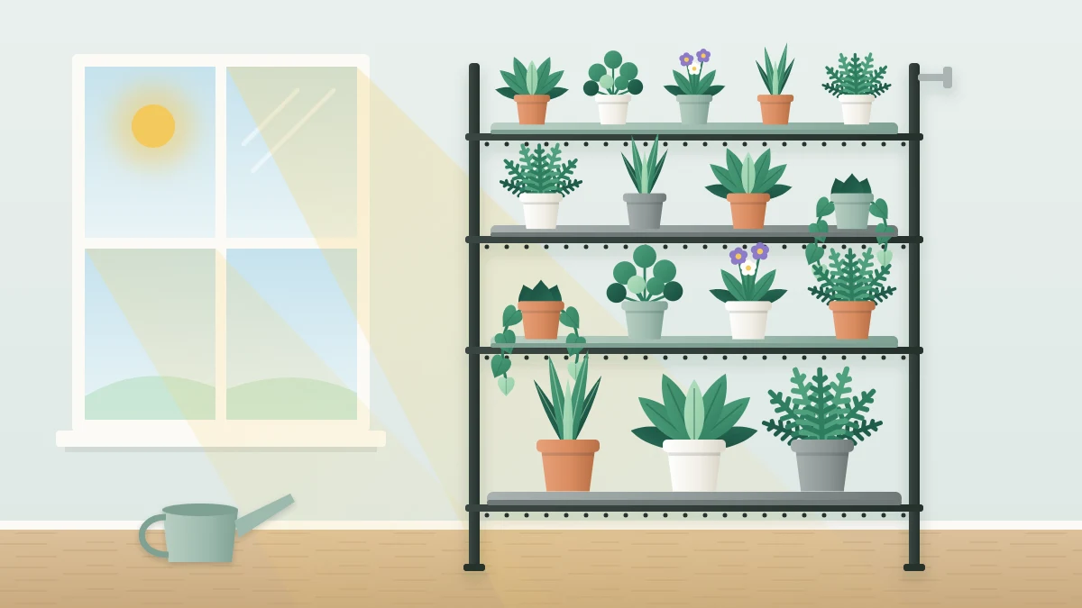 A tall open metal shelf unit beside a window with four levels of potted plants on shallow trays, larger pots low and small pots on top