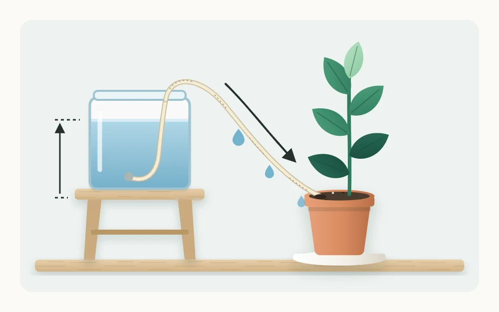 Jar of water raised on a small stand with a cotton cord running from the water into the potting mix of a plant beside it