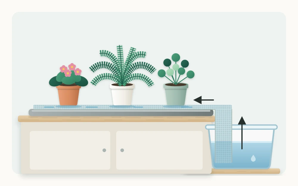 Three small potted plants on a damp capillary mat on a tray, one end of the mat hanging down into a container of water