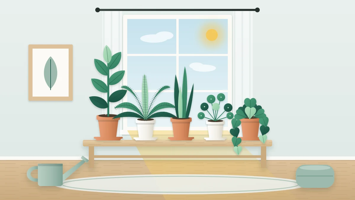 A bright living room corner with a tall window and a low wooden bench holding five potted plants of different heights, a watering can on the floor