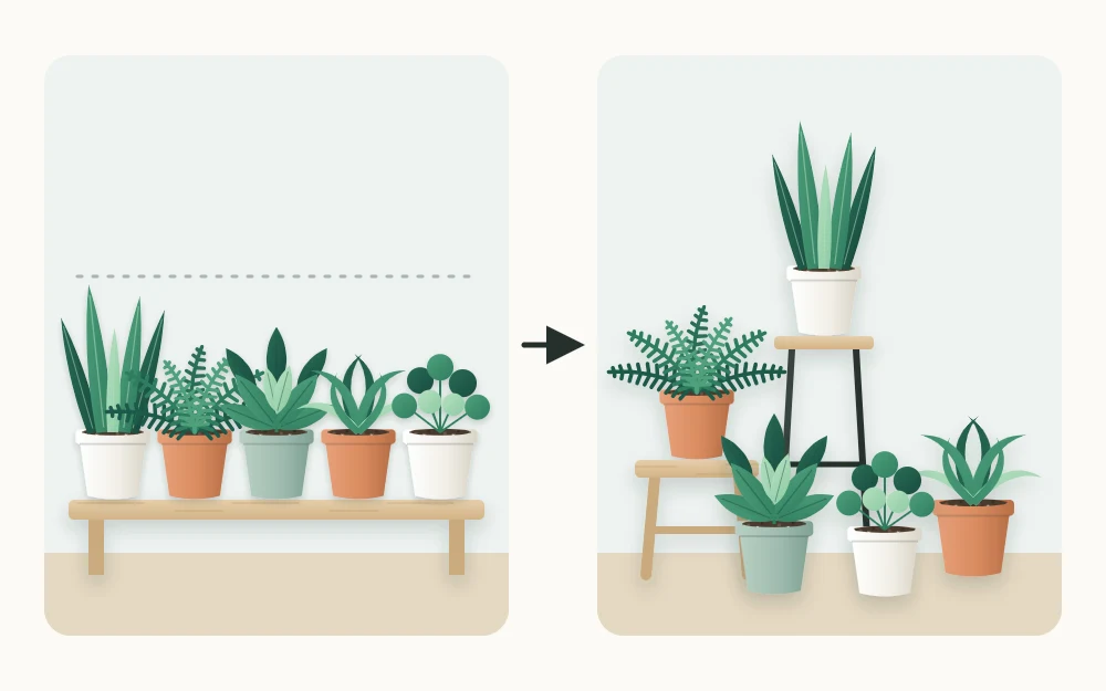 The same five plants shown twice: in a flat straight row at one height, and staggered at three heights on a stand and a low stool
