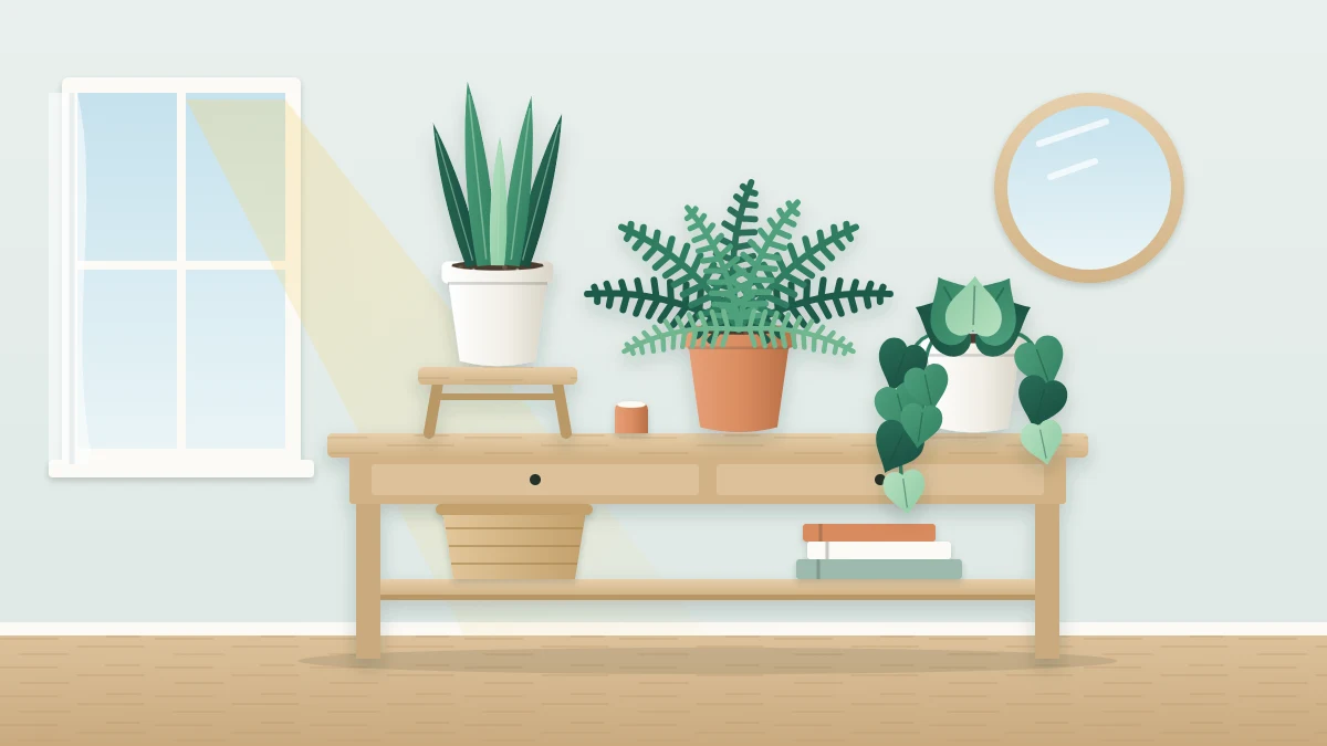 A console table against a pale wall with a tall plant on a stand, a bushy plant and a low trailing plant in white and terracotta pots