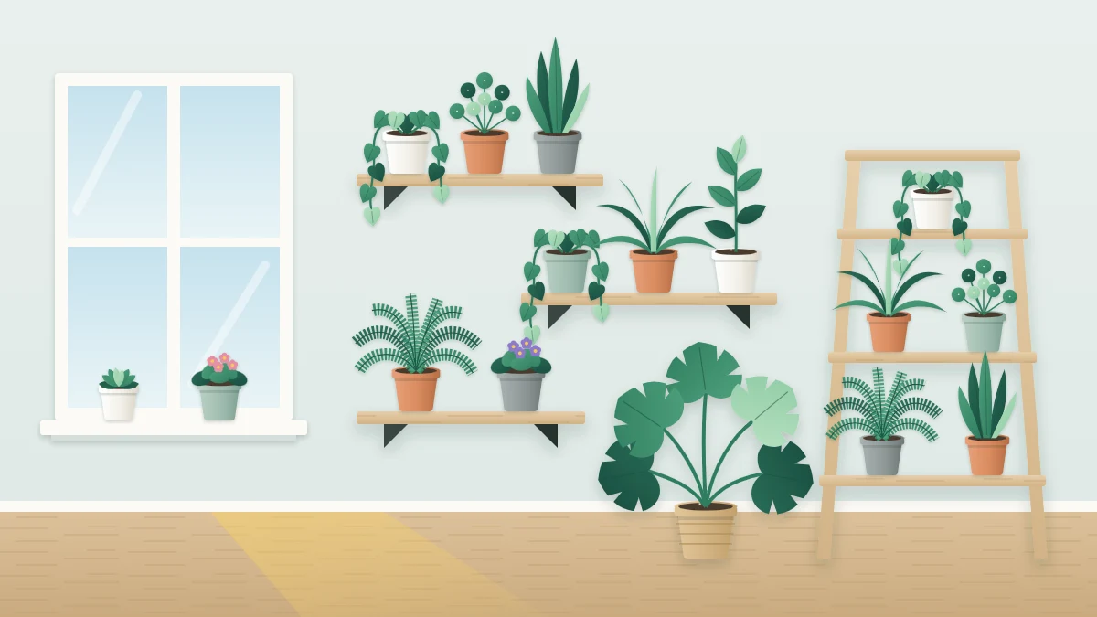 Three staggered wooden wall shelves beside a window with trailing and upright plants, and a wooden ladder stand with pots on each rung