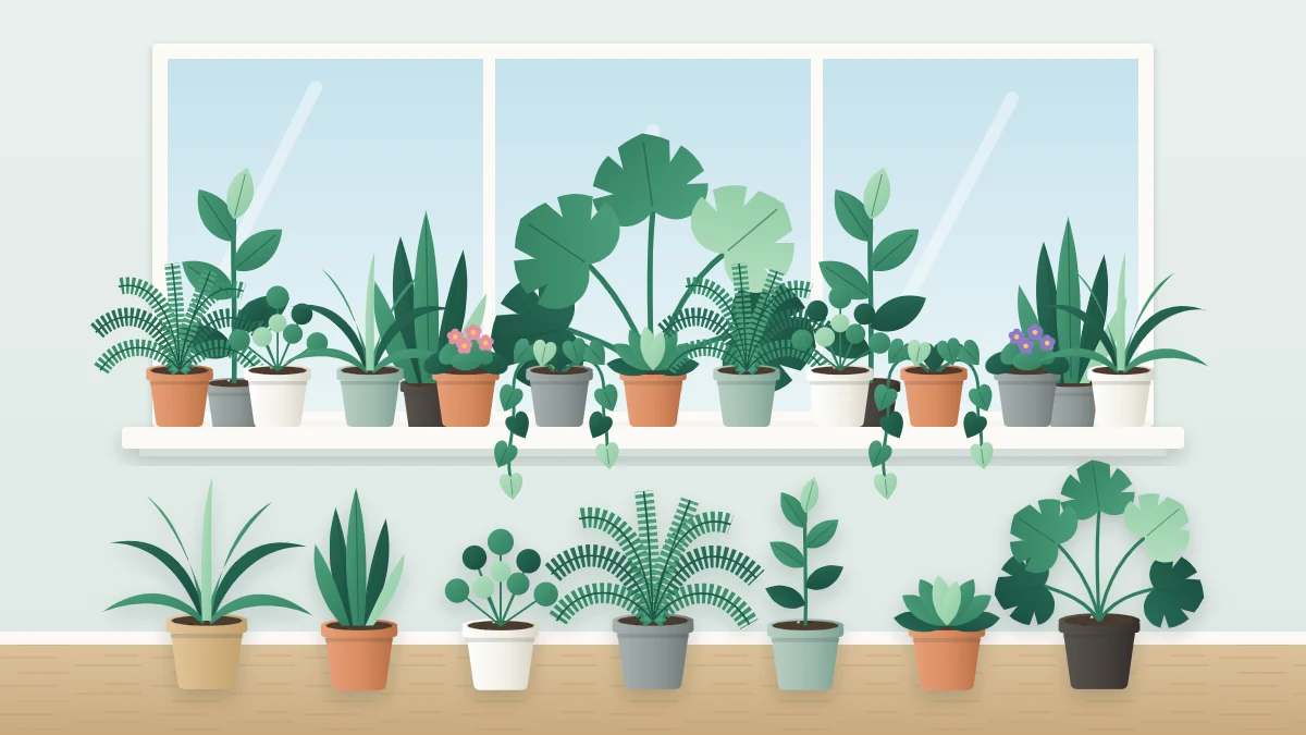 Overcrowded windowsill packed edge to edge with pots, leaves pressing against the glass and each other, more pots lined up on the floor