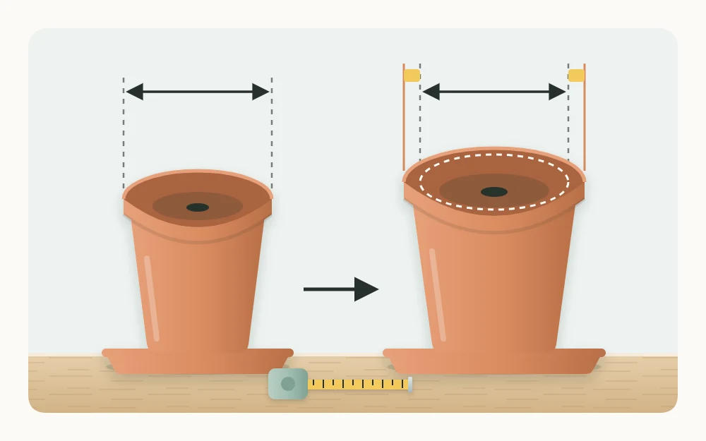 Two pots side by side, the second only slightly wider than the first, each with a drainage hole and a saucer
