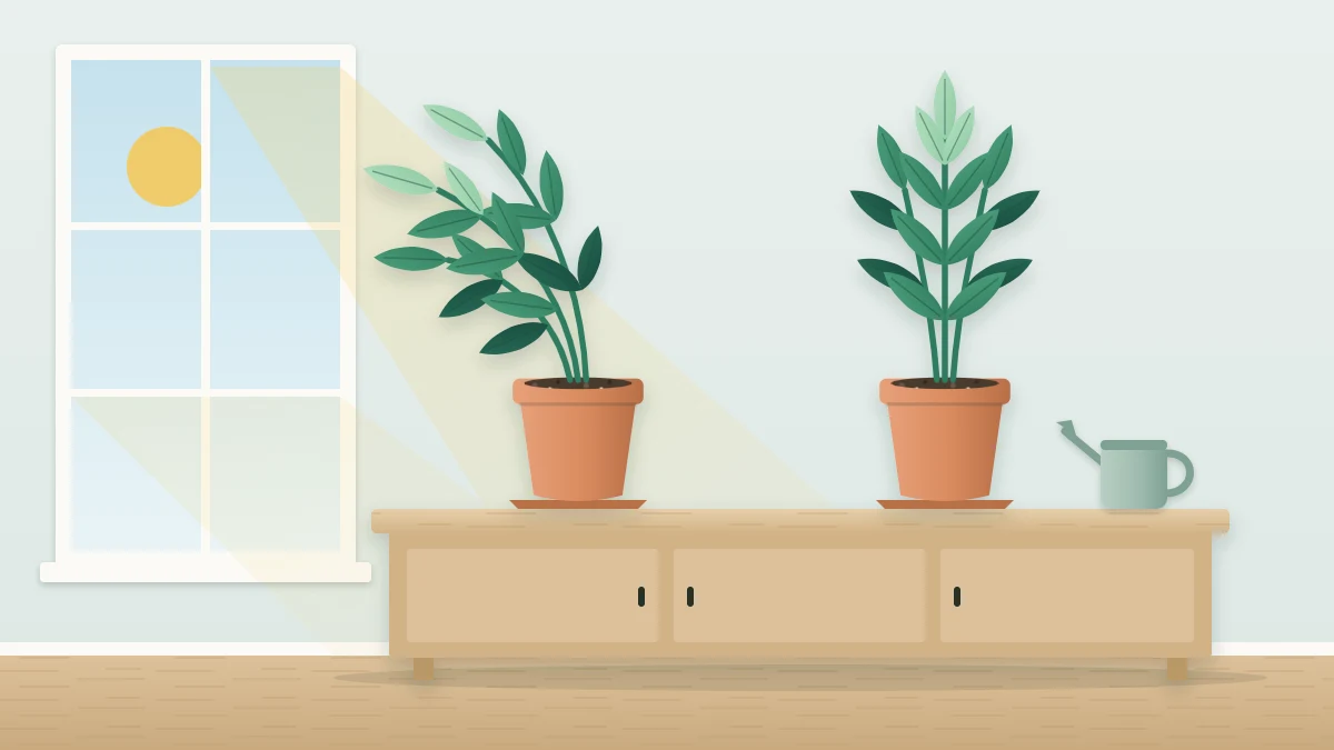 A potted plant leaning strongly toward a window beside an upright, balanced plant of the same kind