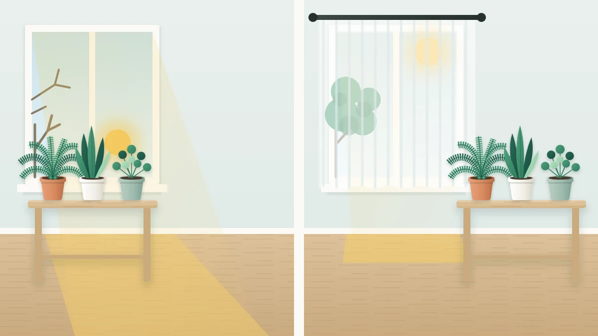 Same window and plant table in two seasons: a long low winter beam with plants near the glass, and a short summer beam with plants behind a sheer curtain