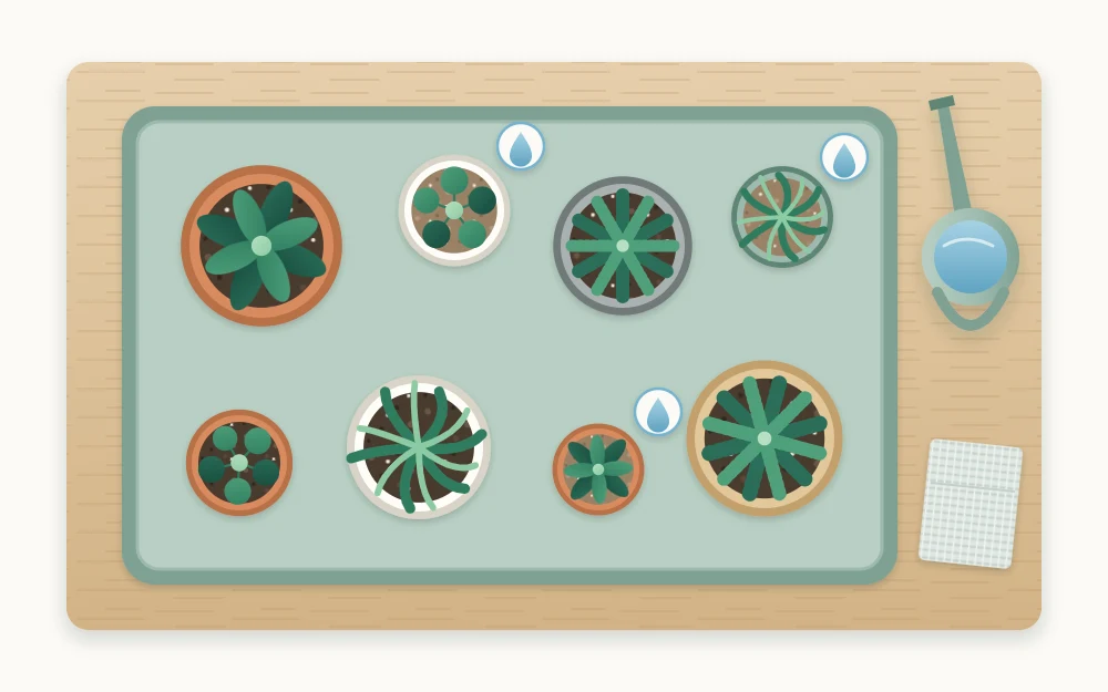 Top view of a plant table with eight pots of different sizes on a tray, three of them marked with a small blue water drop